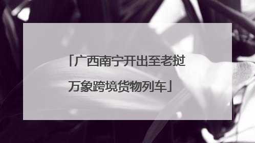 广西南宁开出至老挝万象跨境货物列车