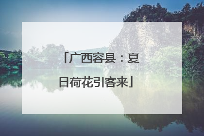 广西容县：夏日荷花引客来