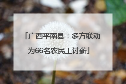 广西平南县：多方联动为66名农民工讨薪