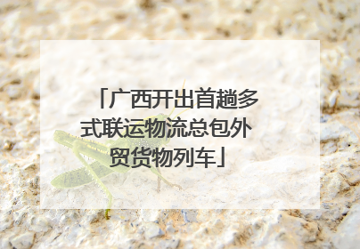 广西开出首趟多式联运物流总包外贸货物列车