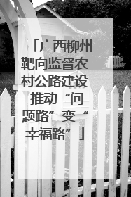 广西柳州靶向监督农村公路建设 推动“问题路”变“幸福路”