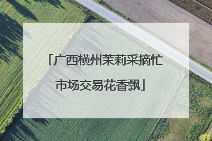广西横州茉莉采摘忙 市场交易花香飘