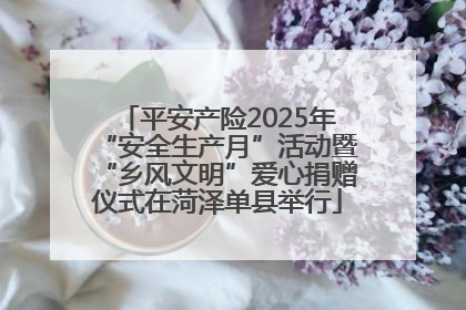 平安产险2025年“安全生产月”活动暨“乡风文明”爱心捐赠仪式在菏泽单县举行