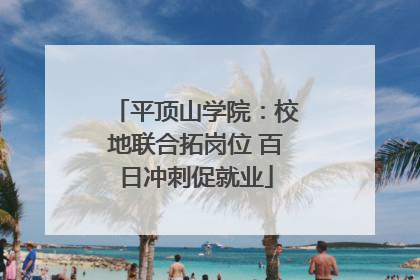 平顶山学院：校地联合拓岗位 百日冲刺促就业