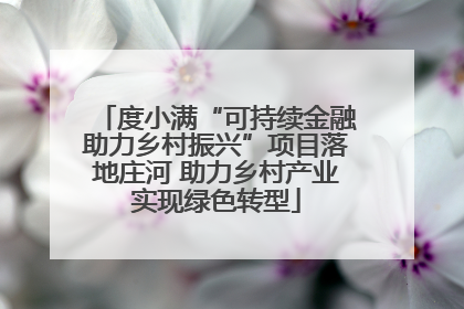 度小满“可持续金融助力乡村振兴”项目落地庄河 助力乡村产业实现绿色转型