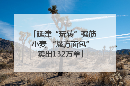 延津“玩转”强筋小麦 “魔方面包”卖出132万单