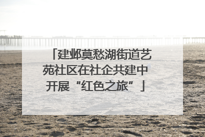 建邺莫愁湖街道艺苑社区在社企共建中开展“红色之旅”