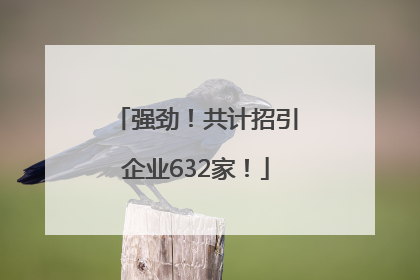 强劲！共计招引企业632家！