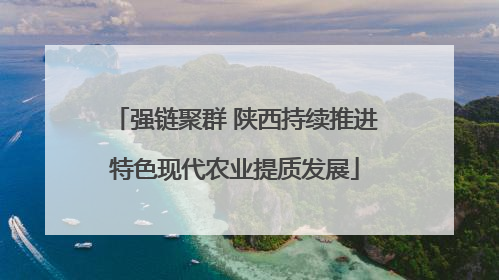 强链聚群 陕西持续推进特色现代农业提质发展