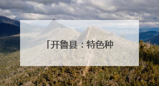 开鲁县：特色种植一片“薯光”