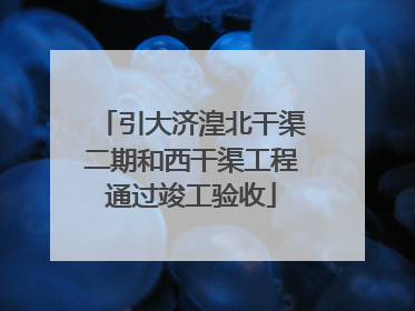 引大济湟北干渠二期和西干渠工程通过竣工验收