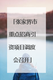 张家界市重点招商引资项目调度会召开