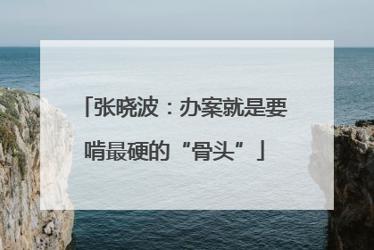张晓波：办案就是要啃最硬的“骨头”