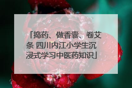 捣药、做香囊、卷艾条 四川内江小学生沉浸式学习中医药知识