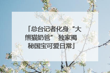 总台记者化身“大熊猫奶爸” 独家揭秘国宝可爱日常