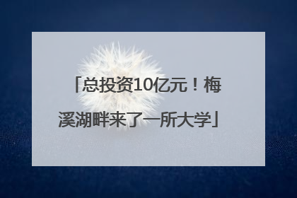 总投资10亿元！梅溪湖畔来了一所大学