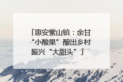 惠安紫山镇：余甘“小酸果”酿出乡村振兴“大甜头”