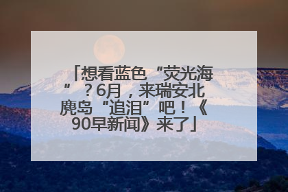 想看蓝色“荧光海”？6月，来瑞安北麂岛“追泪”吧！《90早新闻》来了