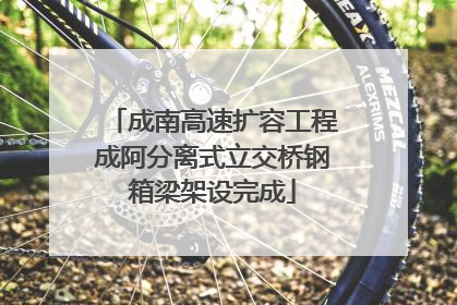 成南高速扩容工程成阿分离式立交桥钢箱梁架设完成