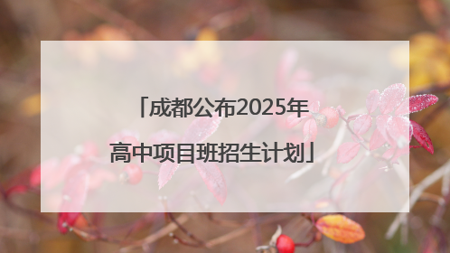 成都公布2025年高中项目班招生计划