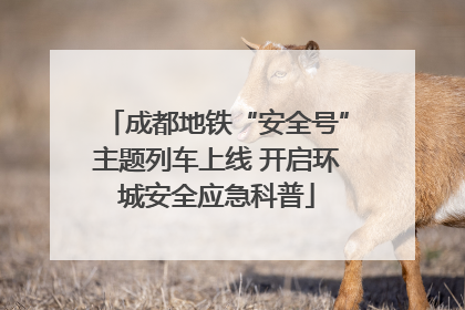 成都地铁“安全号”主题列车上线 开启环城安全应急科普