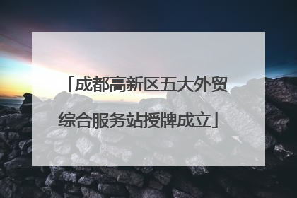 成都高新区五大外贸综合服务站授牌成立