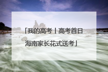 我的高考丨高考首日 海南家长花式送考