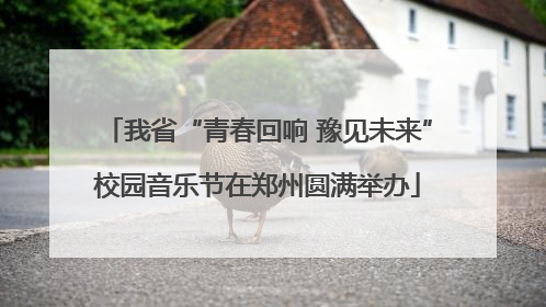 我省“青春回响 豫见未来”校园音乐节在郑州圆满举办