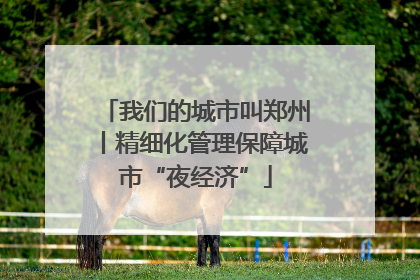 我们的城市叫郑州丨精细化管理保障城市“夜经济”