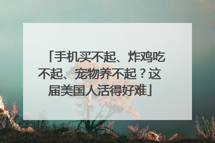 手机买不起、炸鸡吃不起、宠物养不起？这届美国人活得好难