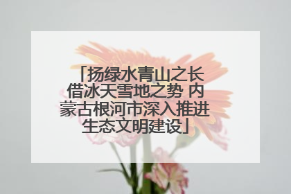 扬绿水青山之长 借冰天雪地之势 内蒙古根河市深入推进生态文明建设