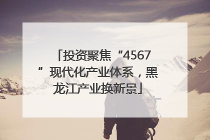 投资聚焦“4567”现代化产业体系，黑龙江产业换新景
