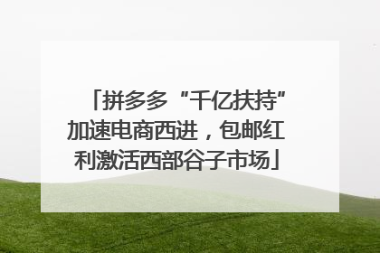 拼多多“千亿扶持”加速电商西进，包邮红利激活西部谷子市场