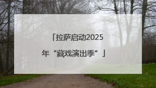 拉萨启动2025年“藏戏演出季”