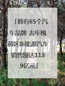 拥有65个汽车品牌 去年槐荫区新能源汽车销售额达113.9亿元