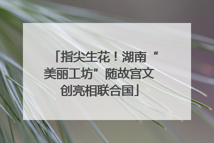 指尖生花！湖南“美丽工坊”随故宫文创亮相联合国