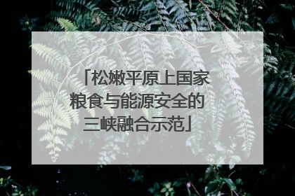 松嫩平原上国家粮食与能源安全的三峡融合示范