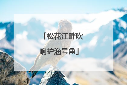 松花江畔吹响护渔号角