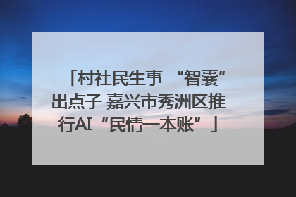 村社民生事 “智囊”出点子 嘉兴市秀洲区推行AI“民情一本账”