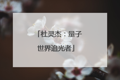 杜灵杰：量子世界追光者