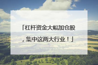杠杆资金大幅加仓股，集中这两大行业！