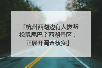 杭州西湖边有人拔断松鼠尾巴？西湖景区：正展开调查核实