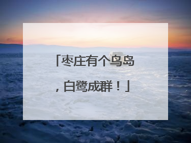 枣庄有个鸟岛，白鹭成群！