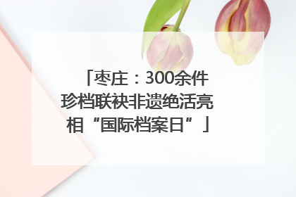 枣庄：300余件珍档联袂非遗绝活亮相“国际档案日”
