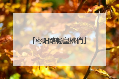 枣阳路畅皇桃俏