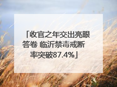 收官之年交出亮眼答卷 临沂禁毒戒断率突破87.4%