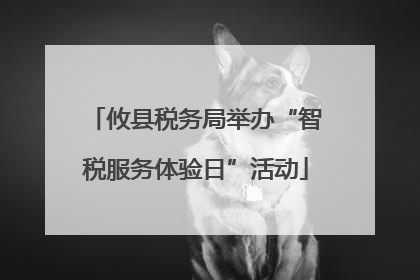 攸县税务局举办“智税服务体验日”活动