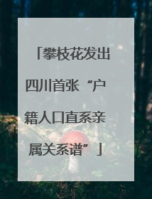 攀枝花发出四川首张“户籍人口直系亲属关系谱”