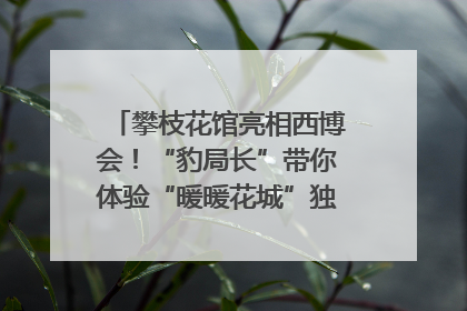 攀枝花馆亮相西博会！“豹局长”带你体验“暖暖花城”独特魅力｜西博视界
