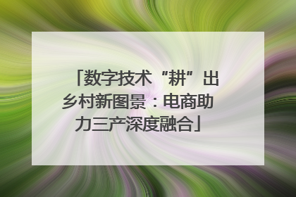 数字技术“耕”出乡村新图景：电商助力三产深度融合
